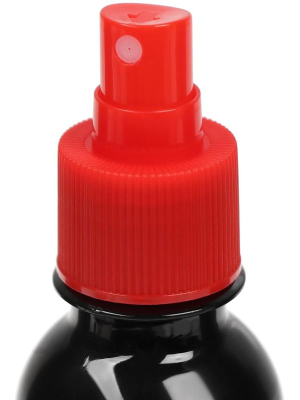 Полироль пластика  For Every Day, Фентези, с антистатиком матовый, 200 мл, спрей