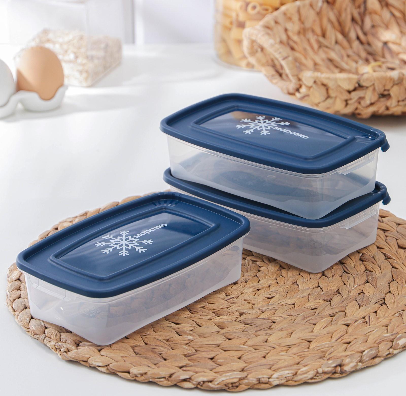 Набор контейнеров для замораживания продуктов «Морозко», 3 шт, 700 мл, цвет МИКС