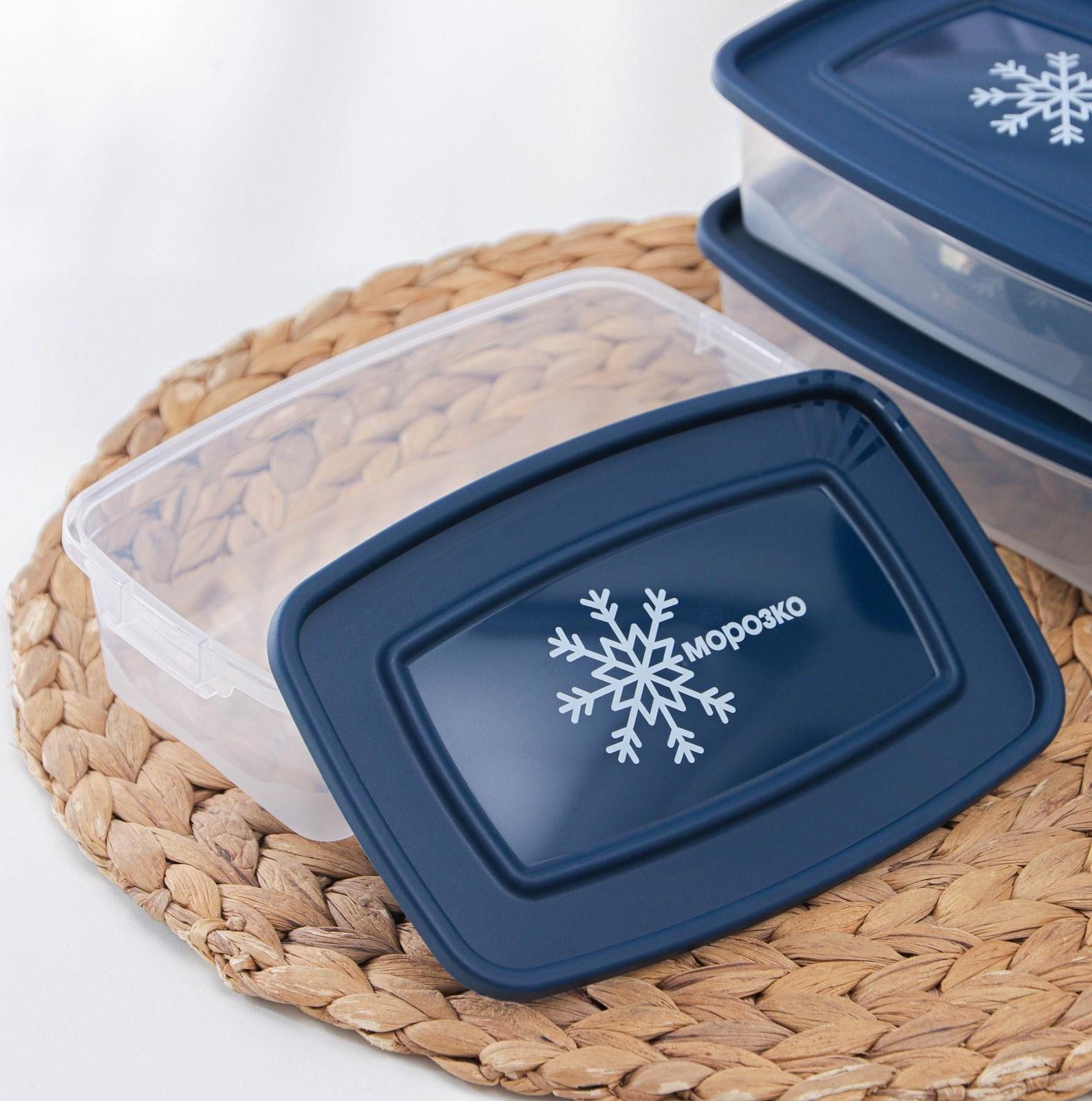 Набор контейнеров для замораживания продуктов «Морозко», 3 шт, 700 мл, цвет МИКС