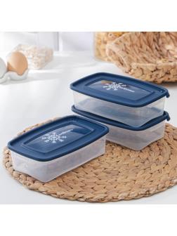 Набор контейнеров для замораживания продуктов «Морозко», 3 шт, 700 мл, цвет МИКС