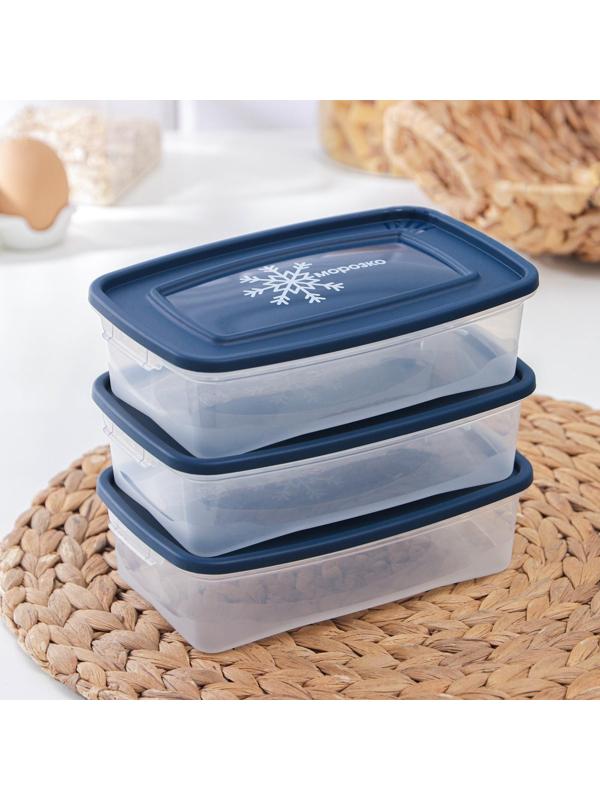 Набор контейнеров для замораживания продуктов «Морозко», 3 шт, 700 мл, цвет МИКС