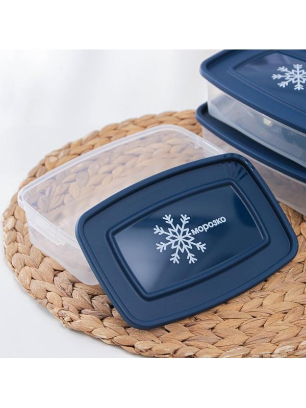 Набор контейнеров для замораживания продуктов «Морозко», 3 шт, 700 мл, цвет МИКС