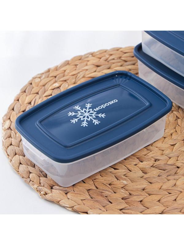 Набор контейнеров для замораживания продуктов «Морозко», 3 шт, 700 мл, цвет МИКС