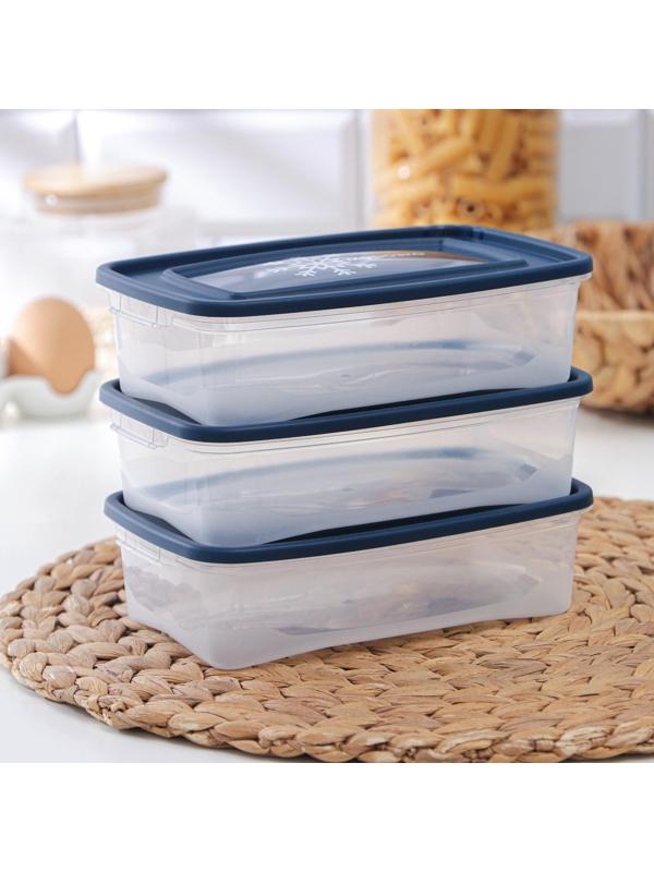 Набор контейнеров для замораживания продуктов «Морозко», 3 шт, 700 мл, цвет МИКС