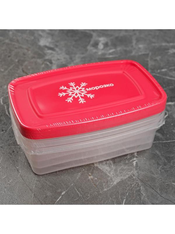 Набор контейнеров для замораживания продуктов «Морозко», 3 шт, 700 мл, цвет МИКС