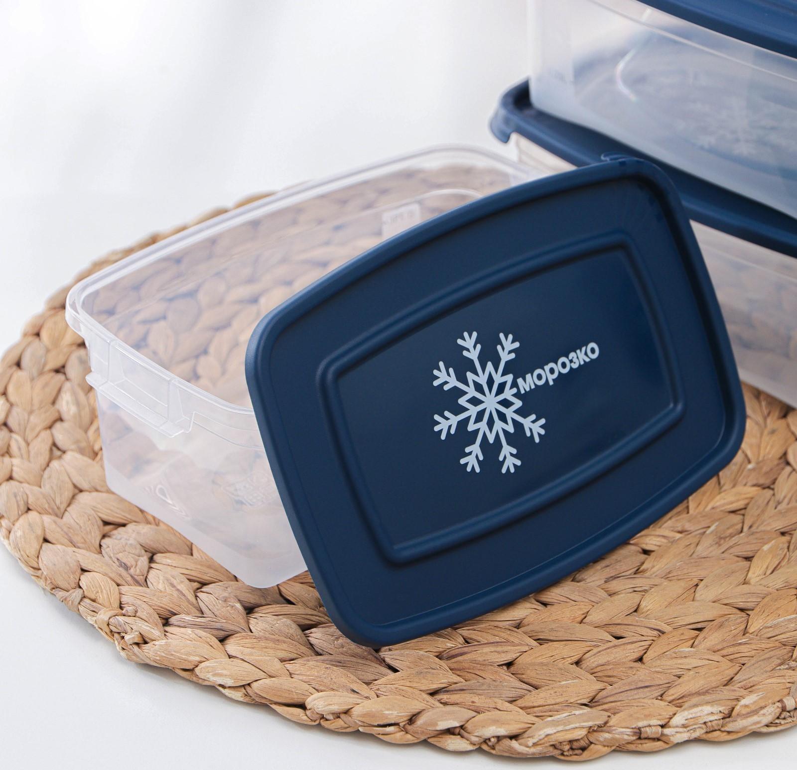 Набор прямоугольных контейнеров для замораживания продуктов «Морозко», 1 л , 3 шт, цвет МИКС