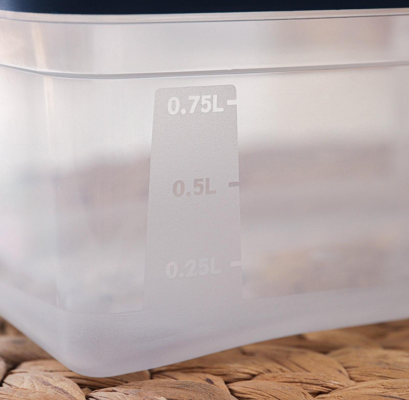 Набор прямоугольных контейнеров для замораживания продуктов «Морозко», 1 л , 3 шт, цвет МИКС