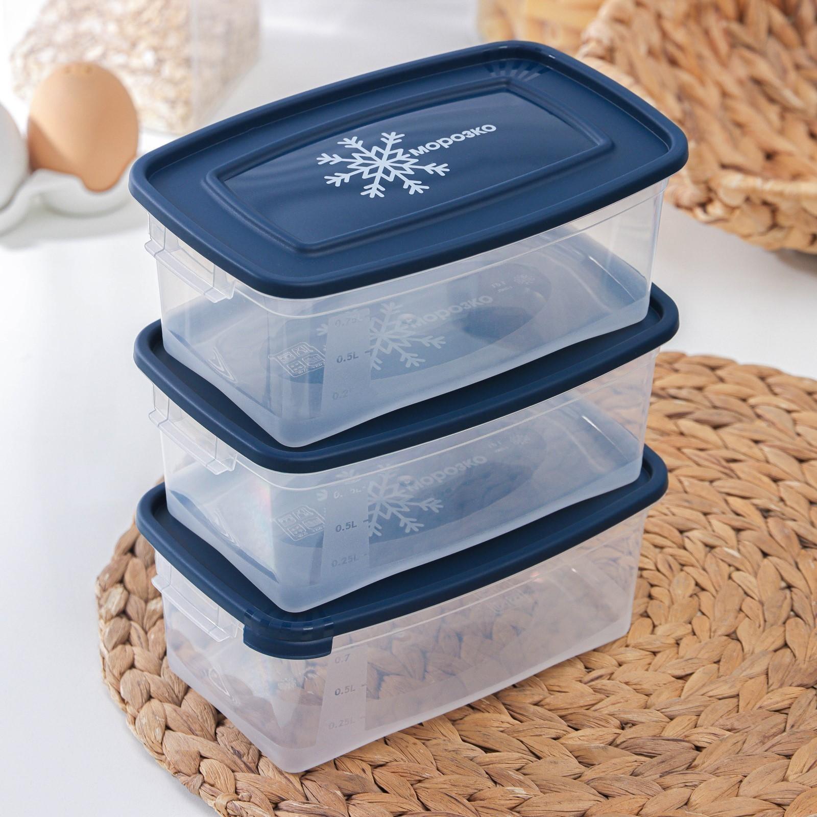 Набор прямоугольных контейнеров для замораживания продуктов «Морозко», 1 л , 3 шт, цвет МИКС