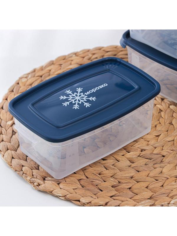 Набор прямоугольных контейнеров для замораживания продуктов «Морозко», 1 л , 3 шт, цвет МИКС