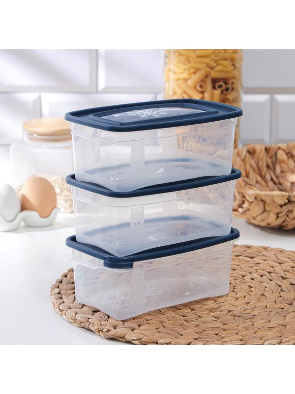 Набор прямоугольных контейнеров для замораживания продуктов «Морозко», 1 л , 3 шт, цвет МИКС