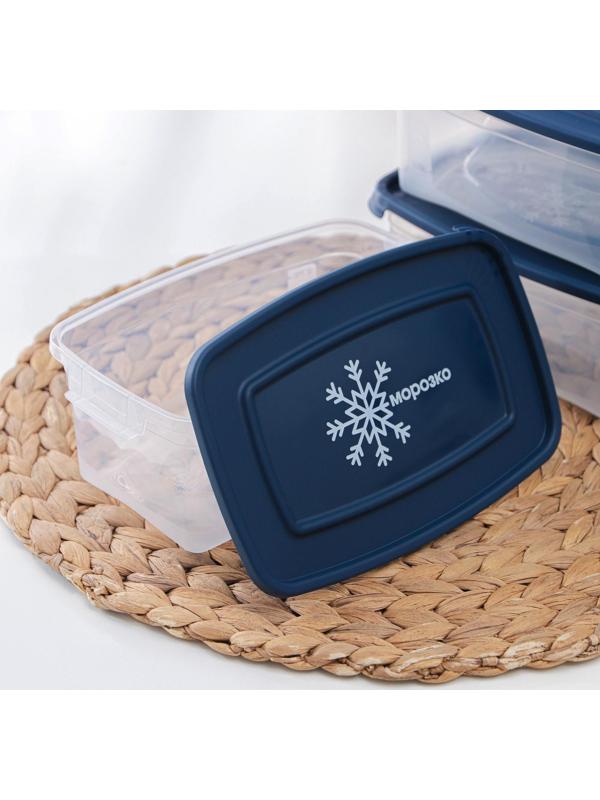 Набор прямоугольных контейнеров для замораживания продуктов «Морозко», 1 л , 3 шт, цвет МИКС