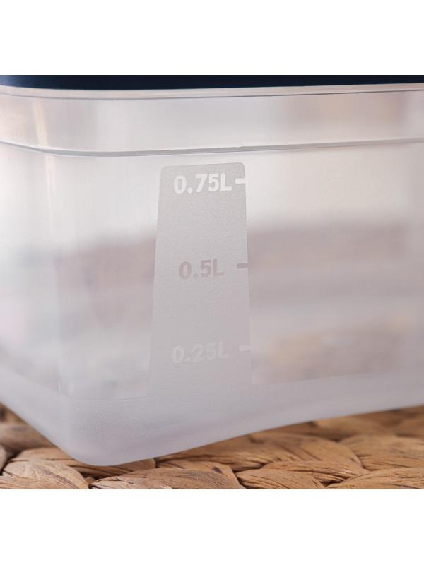 Набор прямоугольных контейнеров для замораживания продуктов «Морозко», 1 л , 3 шт, цвет МИКС