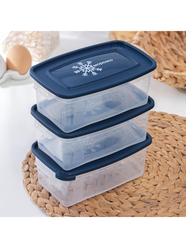 Набор прямоугольных контейнеров для замораживания продуктов «Морозко», 1 л , 3 шт, цвет МИКС