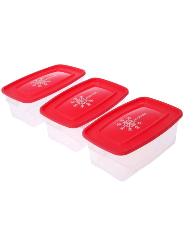 Набор прямоугольных контейнеров для замораживания продуктов «Морозко», 1 л , 3 шт, цвет МИКС