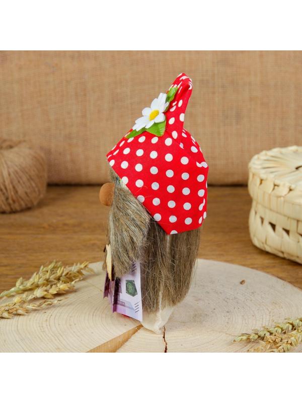 Оберег «Домовой с евро», 20 см, микс