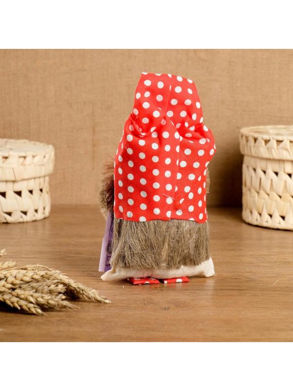 Оберег «Домовой с евро», 20 см, микс