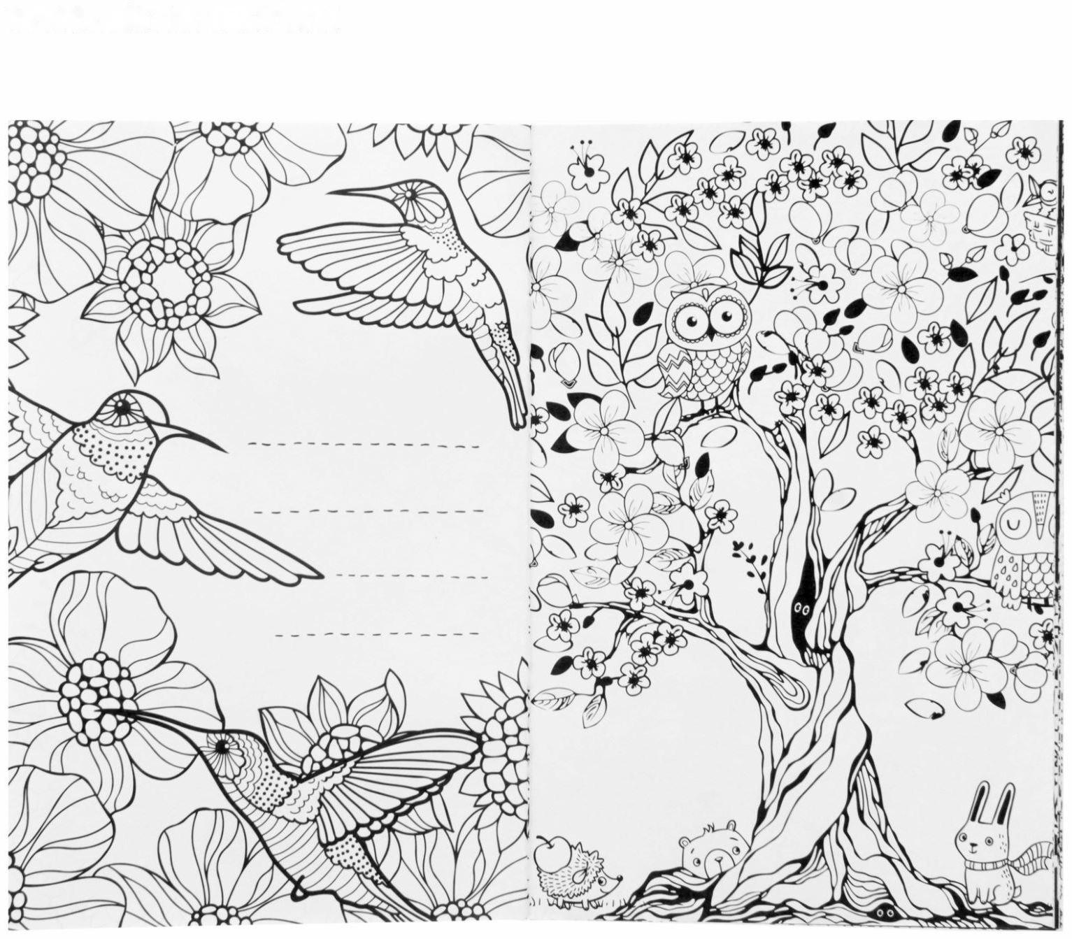 Раскраска - антистресс, альбом «Таинственный мир животных» А6