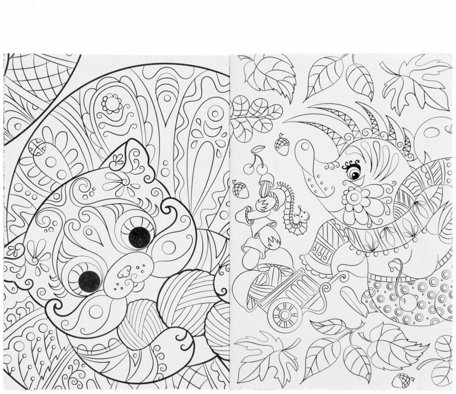 Раскраска - антистресс, альбом «Таинственный мир животных» А6