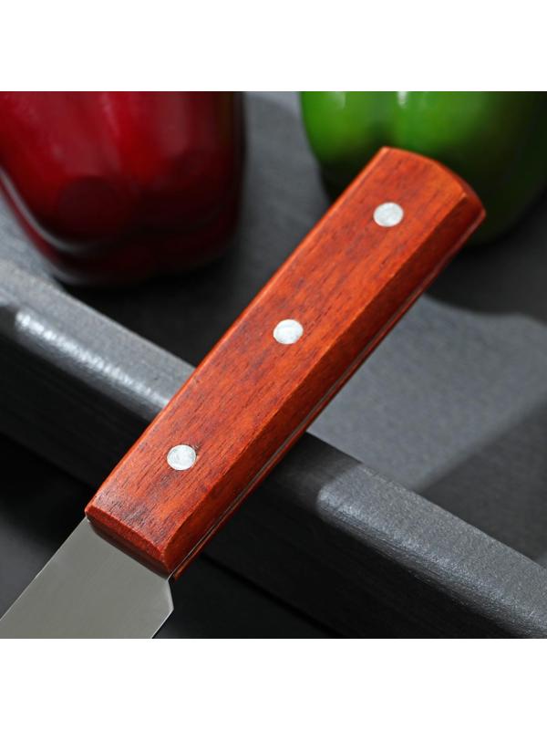 Нож кухонный «Мачете», лезвие 20 см