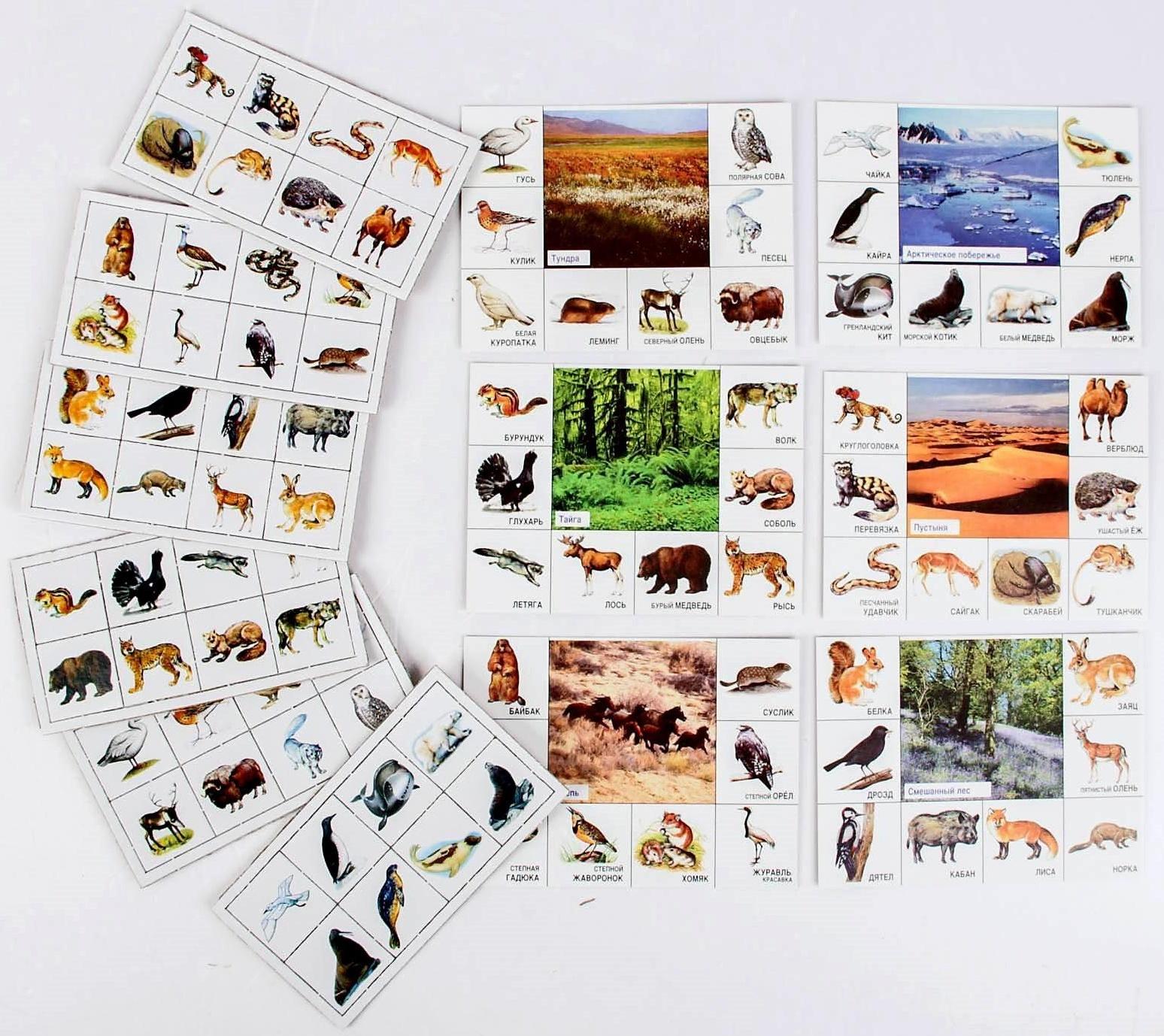 Лото детское» Кто где живёт?», МИКС