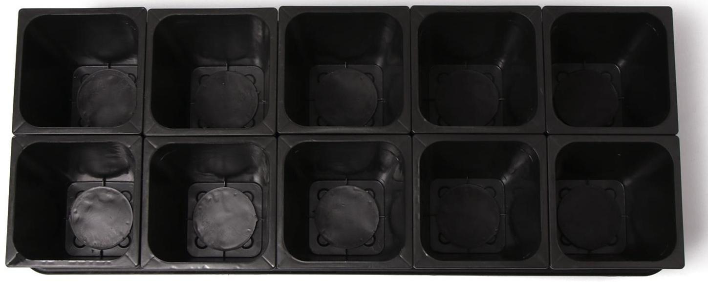 Набор для рассады: стаканы по 1 л (10 шт.), поддон 61 × 23 см, чёрный