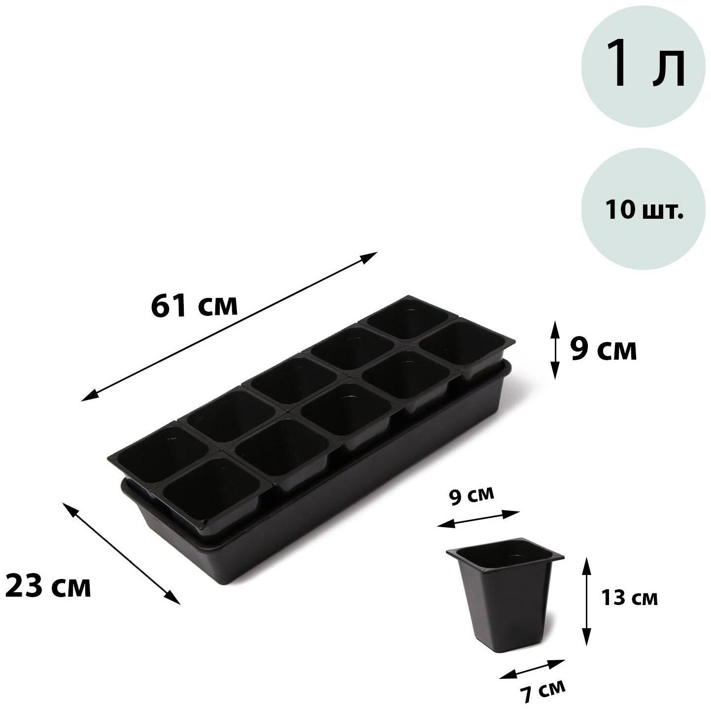 Набор для рассады: стаканы по 1 л (10 шт.), поддон 61 × 23 см, чёрный