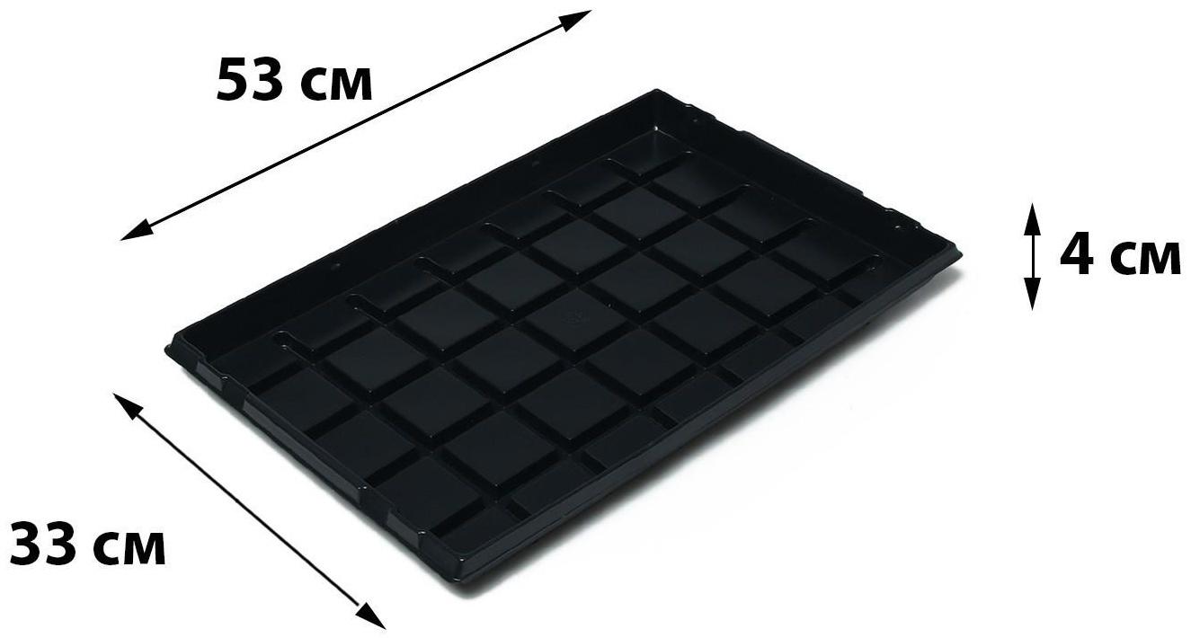 Поддон для рассады, 53 × 33 × 4 см