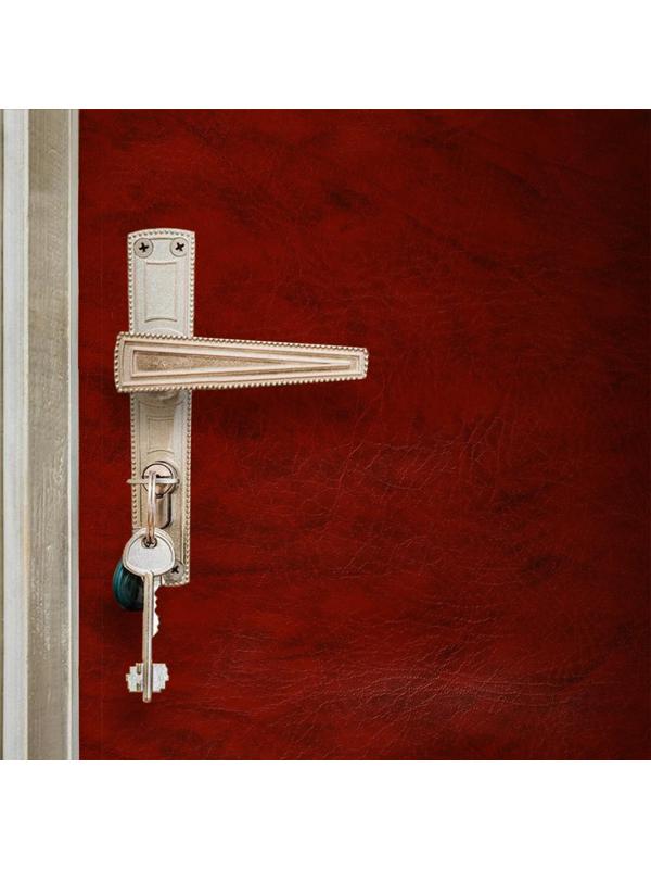 Комплект для обивки дверей 110 × 205 см: иск.кожа, поролон 5 мм, гвозди, струна, рыжий, «Рулон»