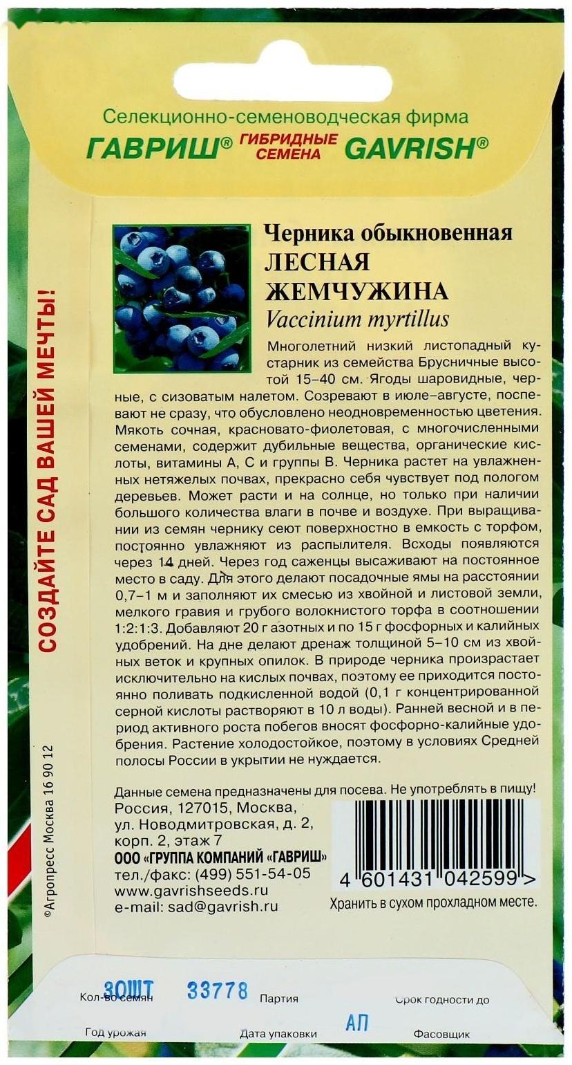 Семена Черника обыкновенная 