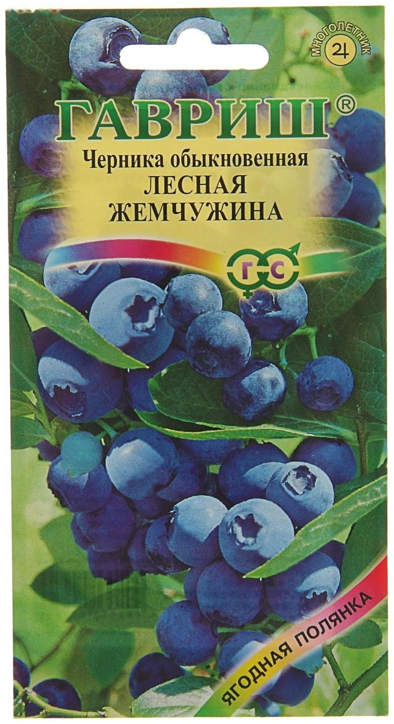 Семена Черника обыкновенная 