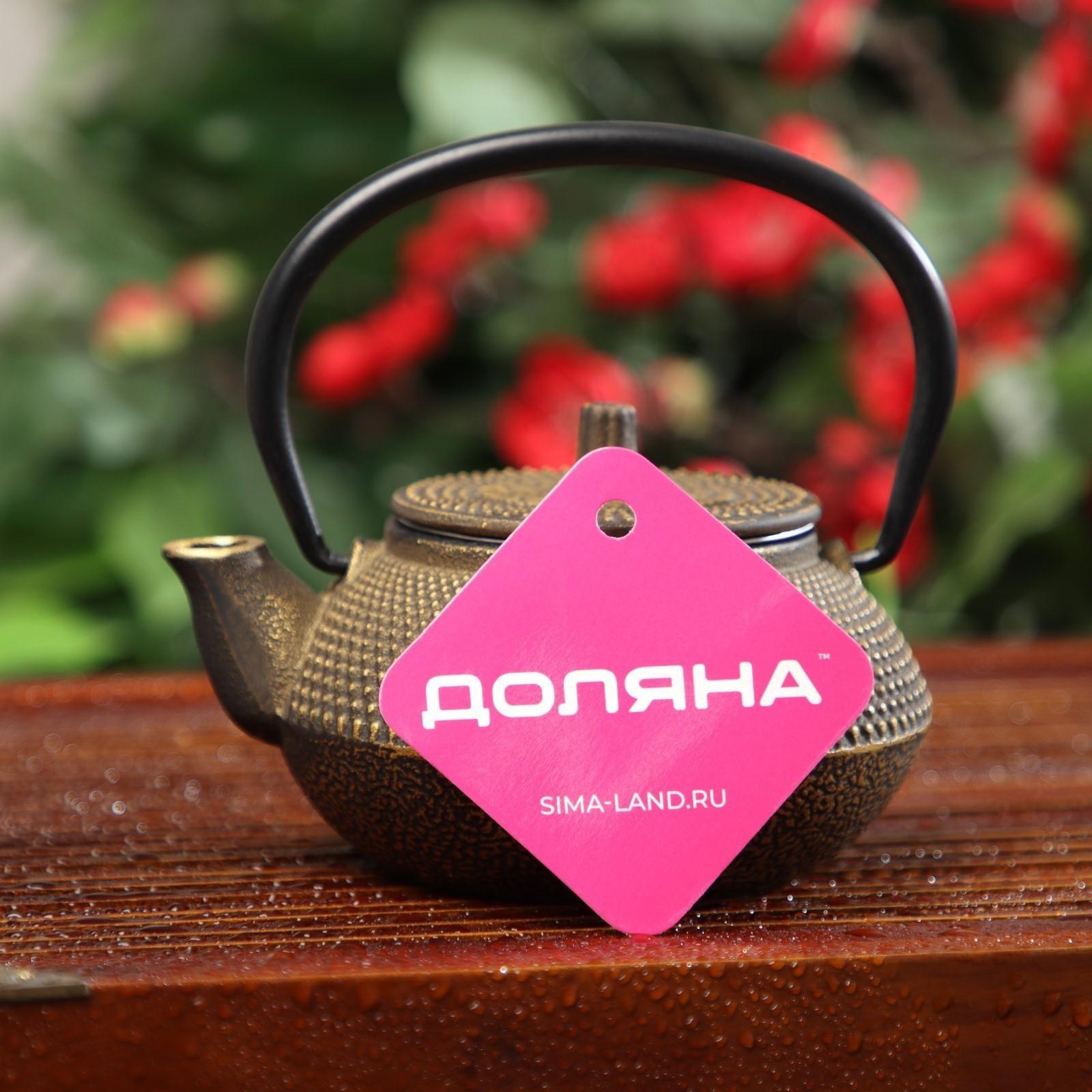 Чайник чугунный Доляна «Восточная ночь. Золото», 300 мл, с ситом, цвет золотой