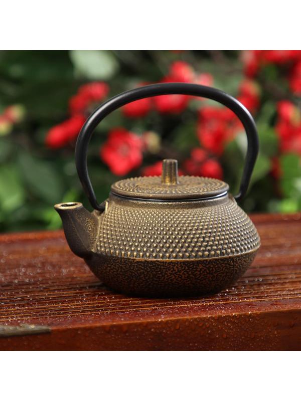 Чайник чугунный Доляна «Восточная ночь. Золото», 300 мл, с ситом, цвет золотой