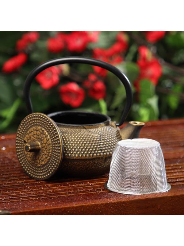 Чайник чугунный Доляна «Восточная ночь. Золото», 300 мл, с ситом, цвет золотой