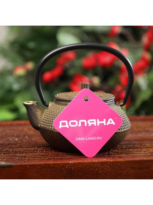 Чайник чугунный Доляна «Восточная ночь. Золото», 300 мл, с ситом, цвет золотой