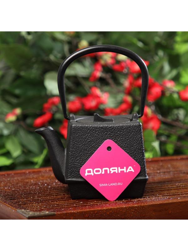Чайник чугунный Доляна «Бокей. Этно», 700 мл, с ситом, с эмалированным покрытием, цвет чёрный