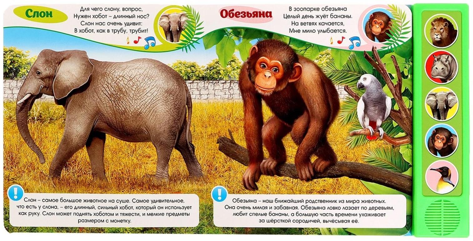 Музыкальная книга «Приходите в зоопарк», 10 стр.