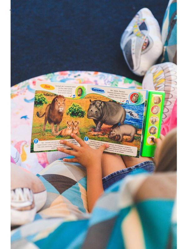 Музыкальная книга «Приходите в зоопарк», 10 стр.