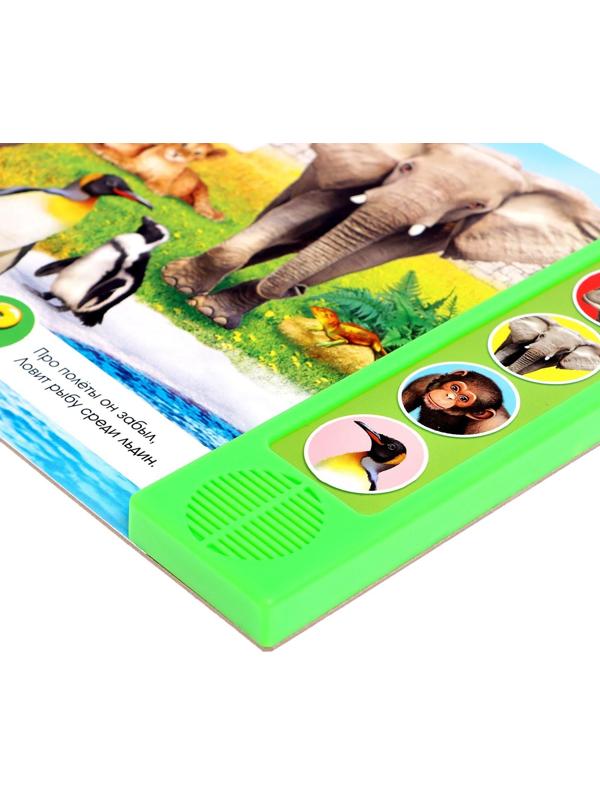 Музыкальная книга «Приходите в зоопарк», 10 стр.