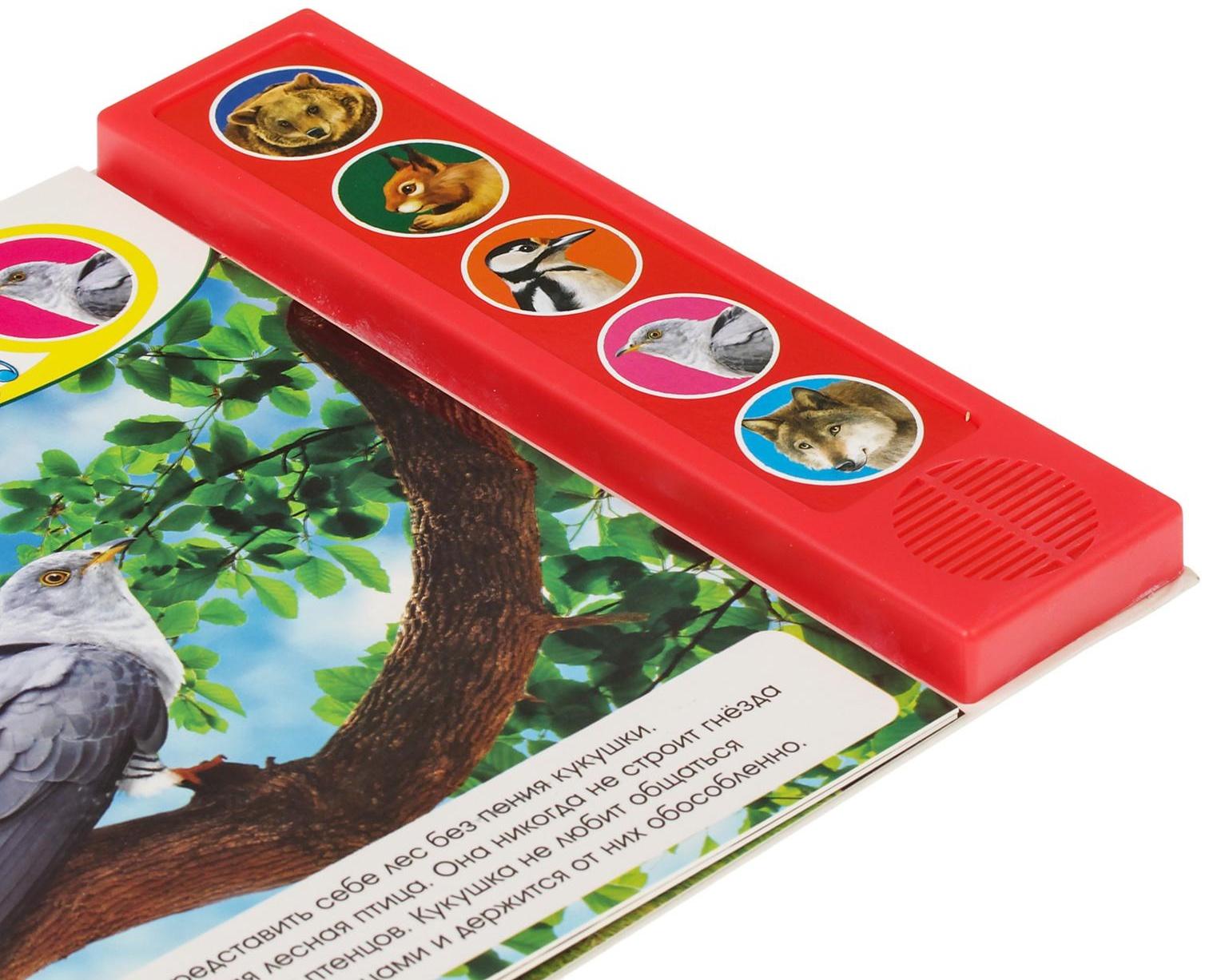 Музыкальная книга «Звуки леса», 10 стр.