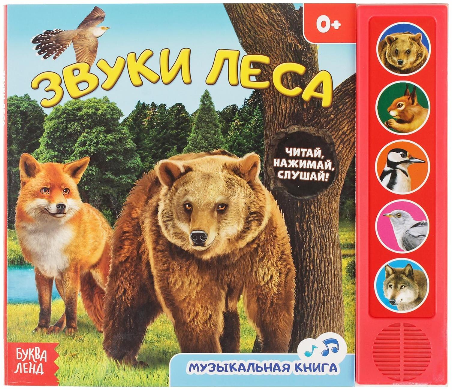 Музыкальная книга «Звуки леса», 10 стр.