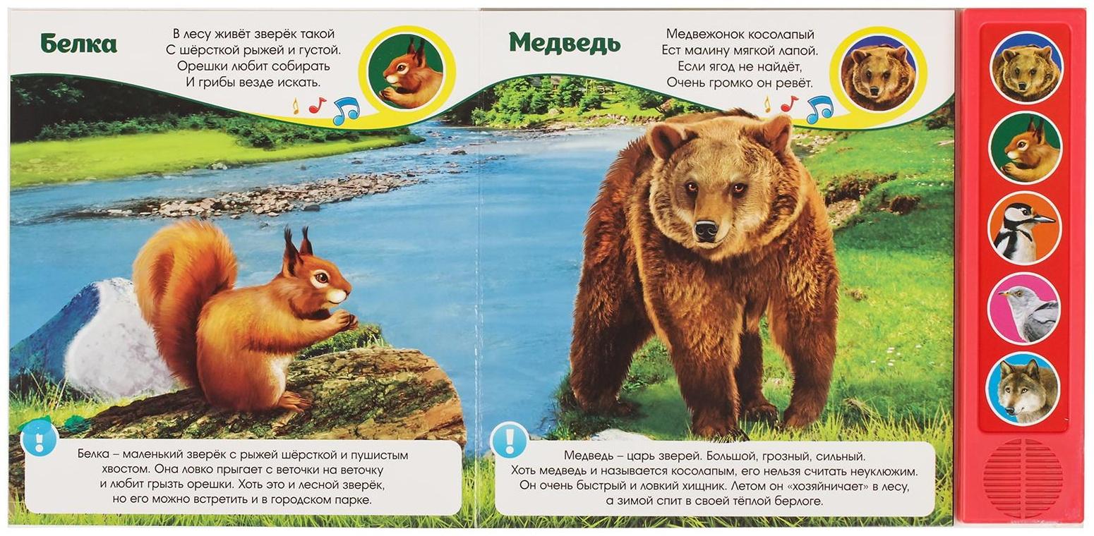 Музыкальная книга «Звуки леса», 10 стр.