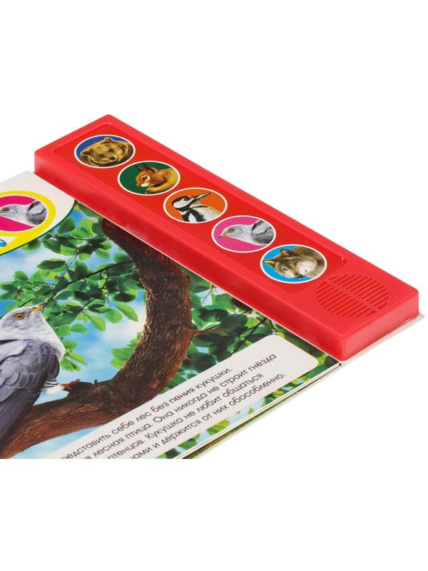 Музыкальная книга «Звуки леса», 10 стр.