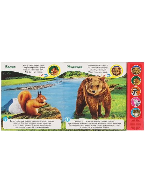 Музыкальная книга «Звуки леса», 10 стр.