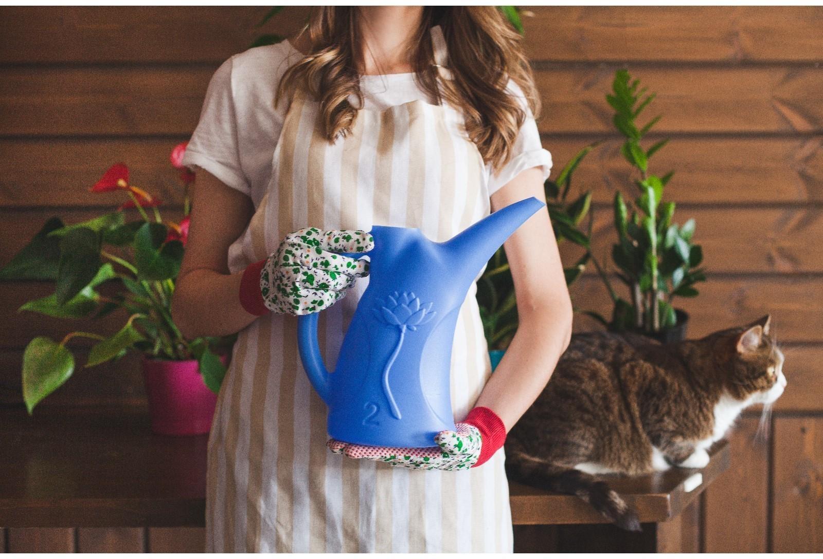 Лейка, 2 л, без рассеивателя, МИКС, «Лотос»