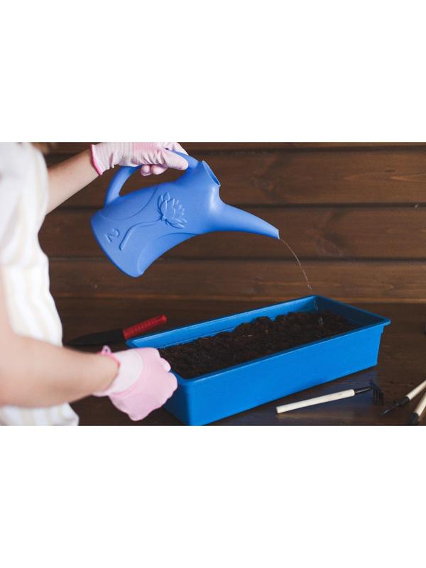 Лейка, 2 л, без рассеивателя, МИКС, «Лотос»