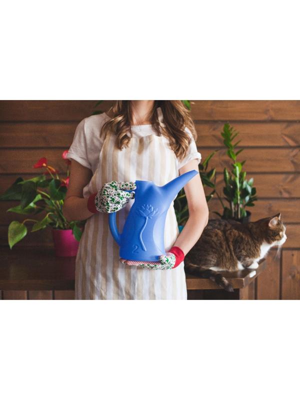 Лейка, 2 л, без рассеивателя, МИКС, «Лотос»