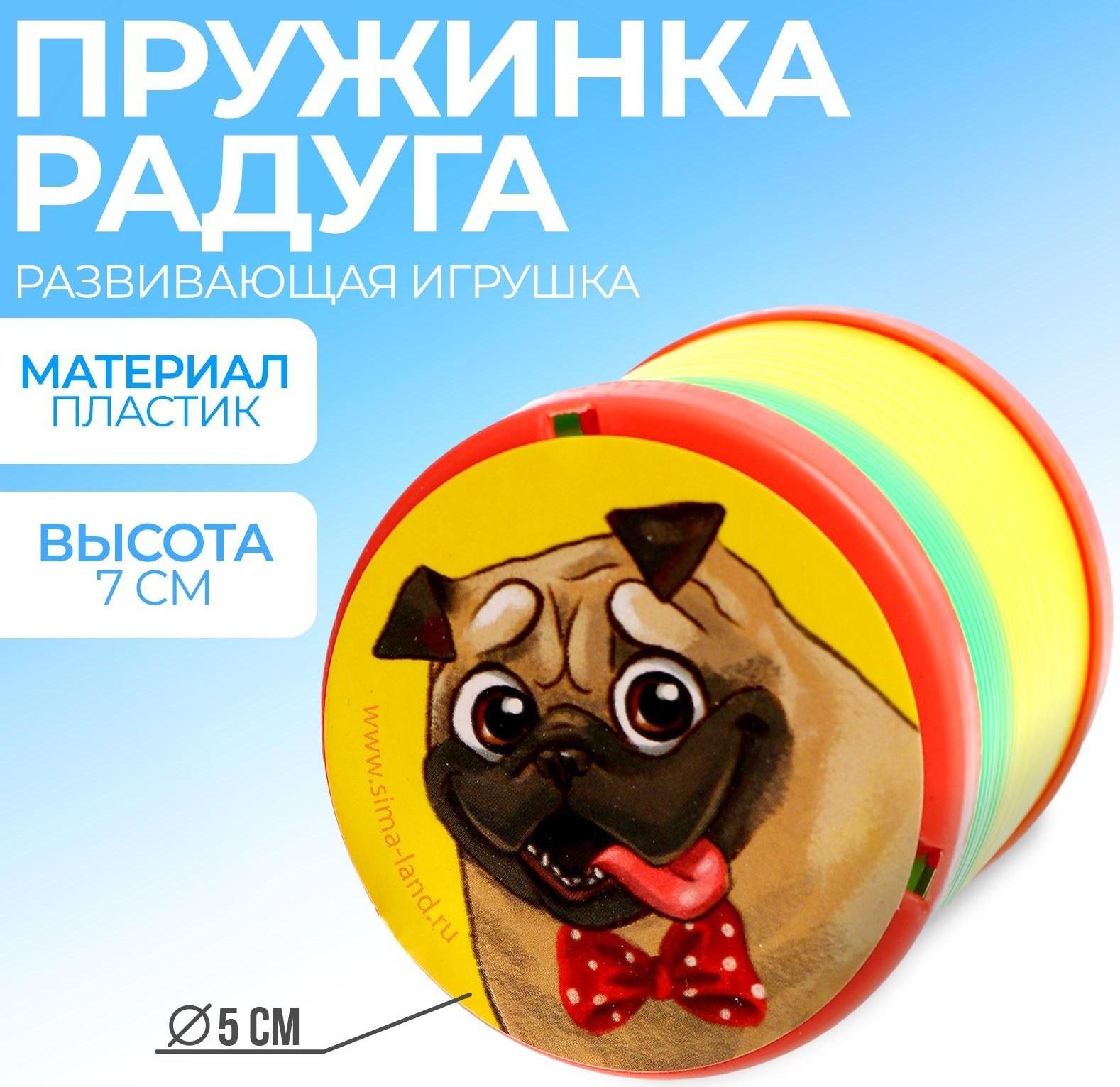 Пружинка радуга «Лучший друг», d=5 см