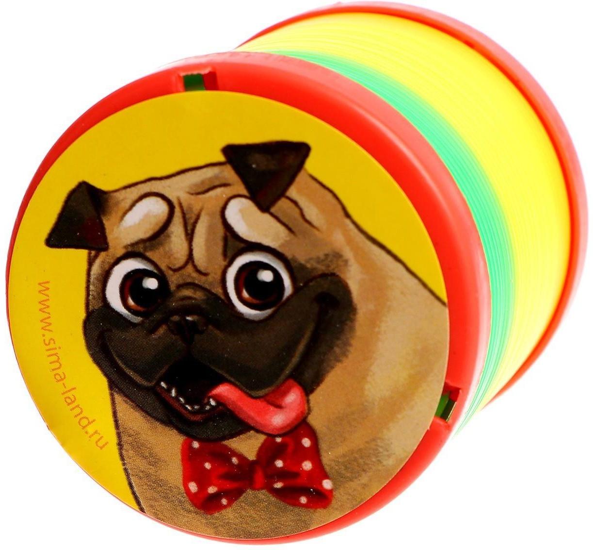 Пружинка радуга «Лучший друг», d=5 см