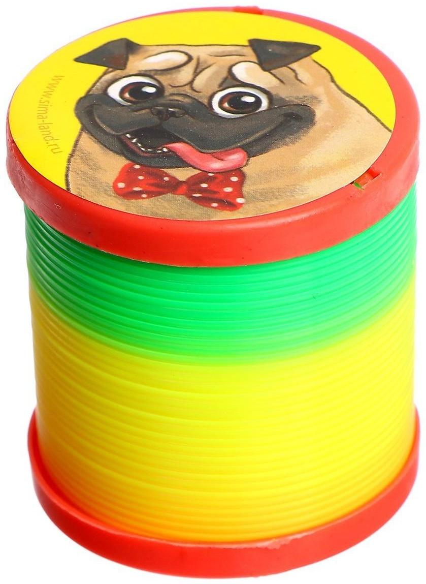 Пружинка радуга «Лучший друг», d=5 см