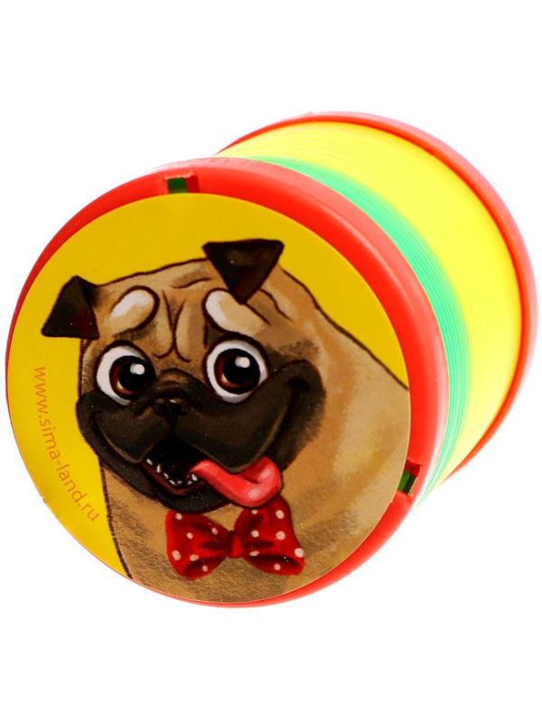 Пружинка радуга «Лучший друг», d=5 см